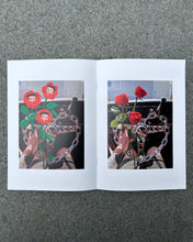 画像をギャラリービューアに読み込む, “3LA Canvas Collaboration” Vol 1